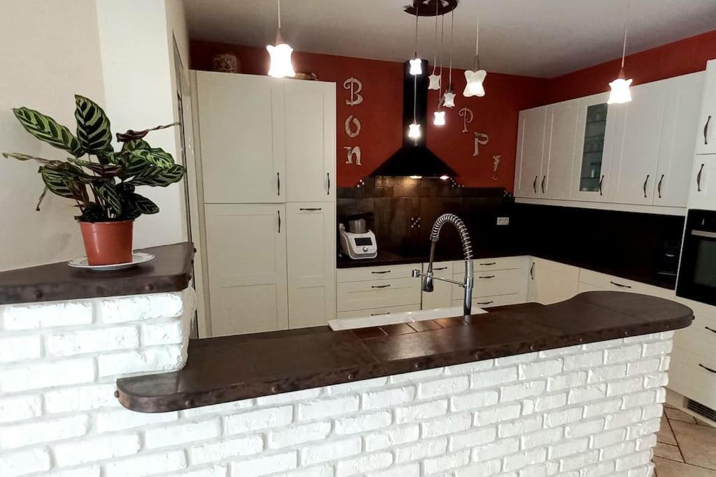 Villa 140 M² Hab. Avec Piscine Castres  Exterior foto